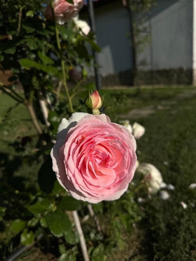 Хотелски Комплекс Копитото Tamarino Luaran gambar